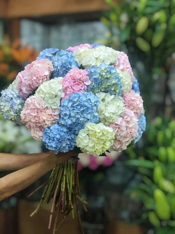 BOUQUET HORTENSIAS
