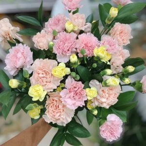 BOUQUET S