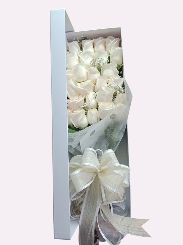 CAJA BLANCA