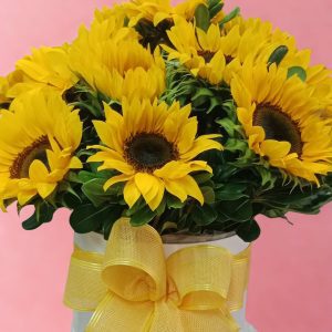 CILINDRO GIRASOL