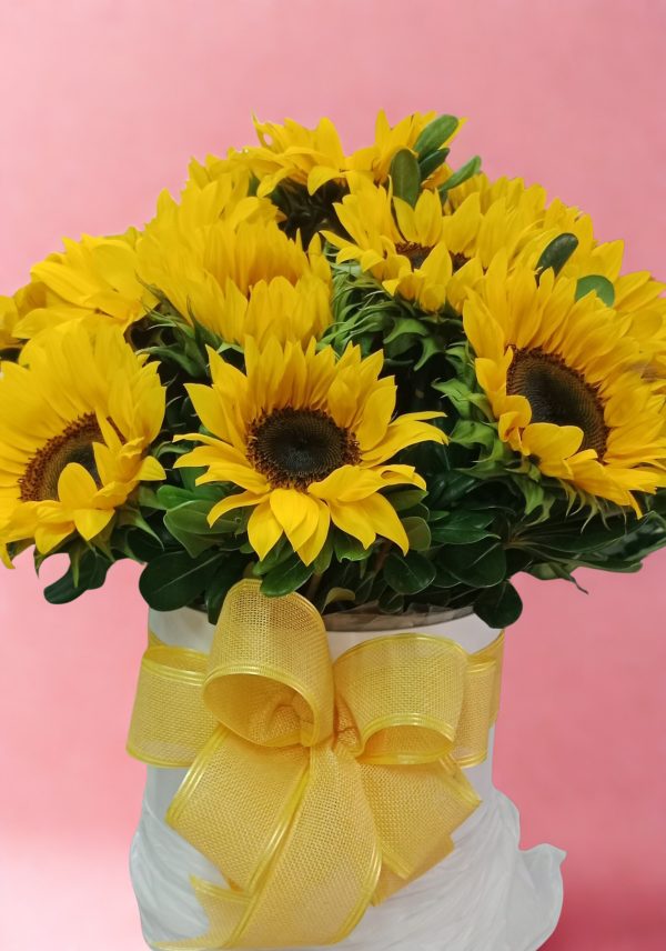 CILINDRO GIRASOL