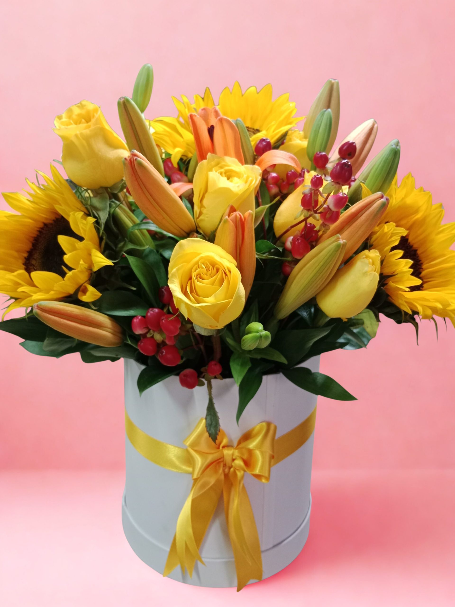 Ramo Lumière Solaire