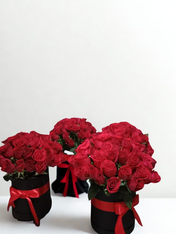 CILINDROS ROJO