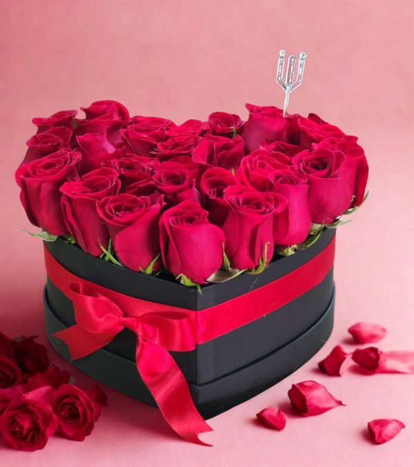 CORAZON TALLA S