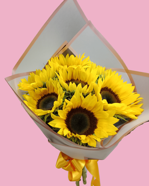 GIRASOL 1