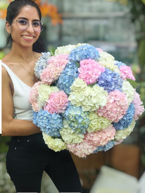 HORTENSIAS