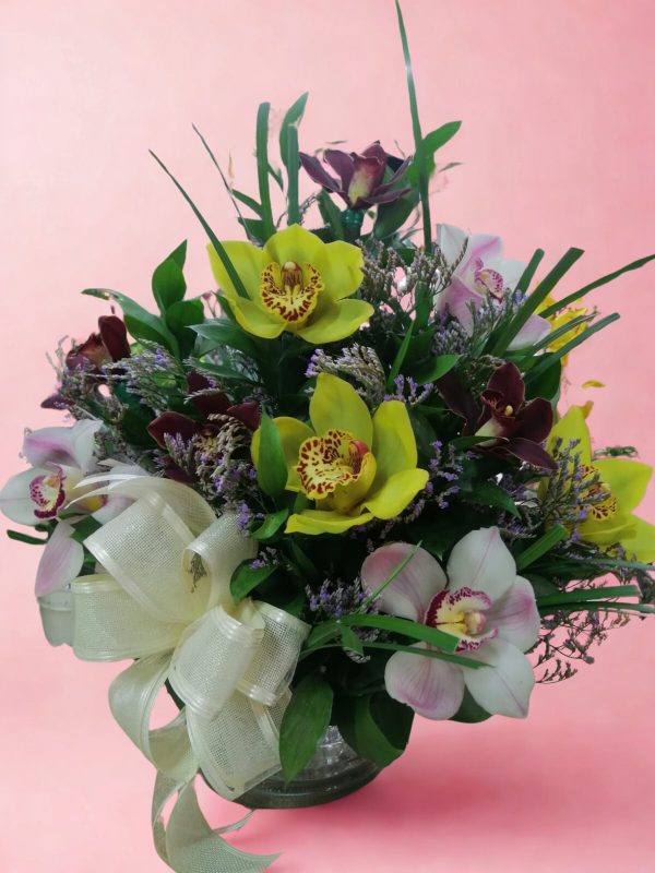 ORQUIDEAS 2.5