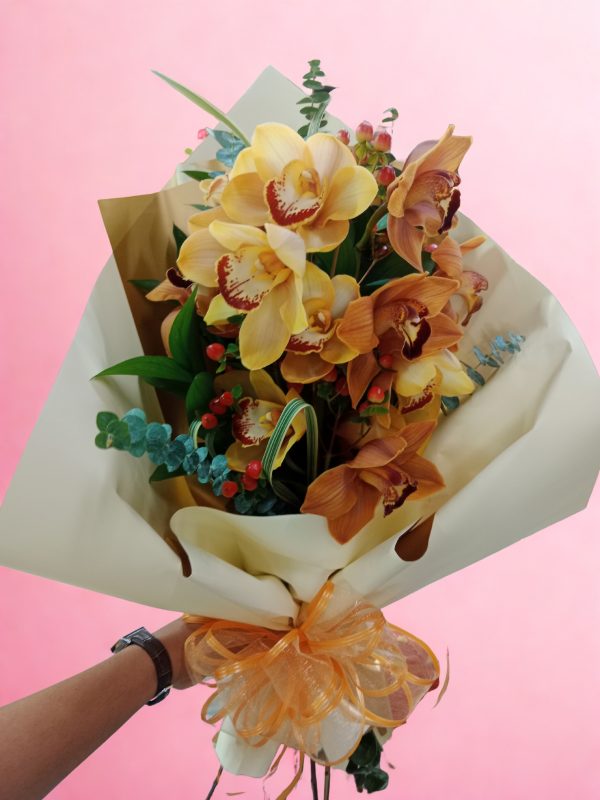 ORQUIDEAS 5.1