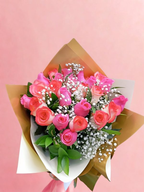 ROSAS 2.2