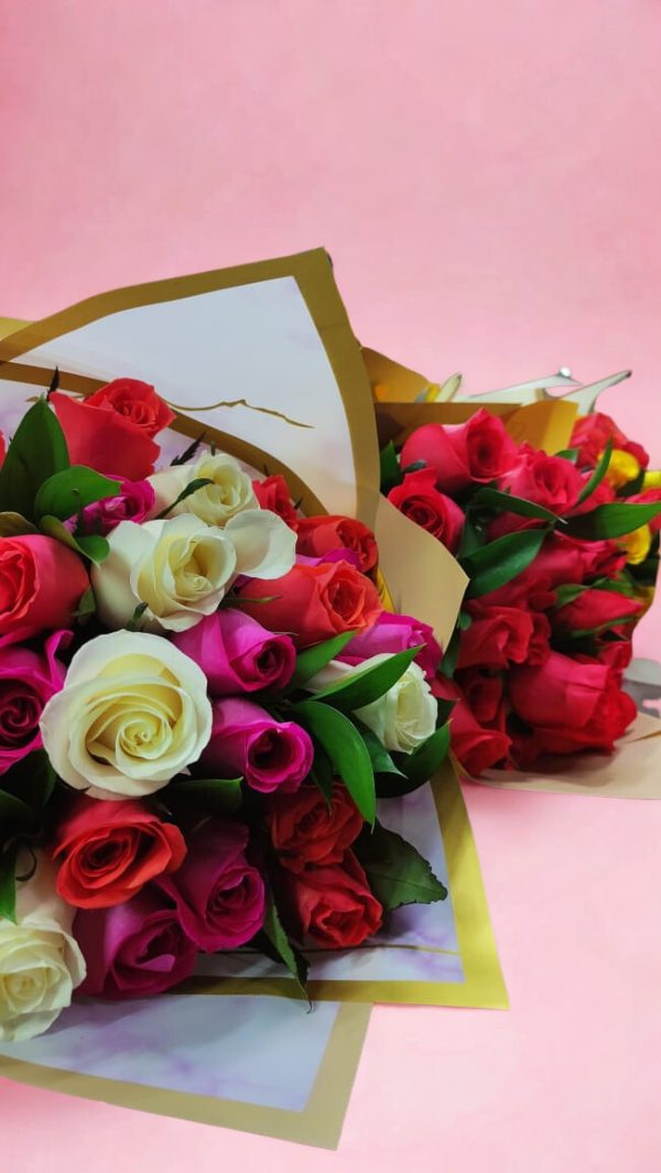 ROSAS 5.2