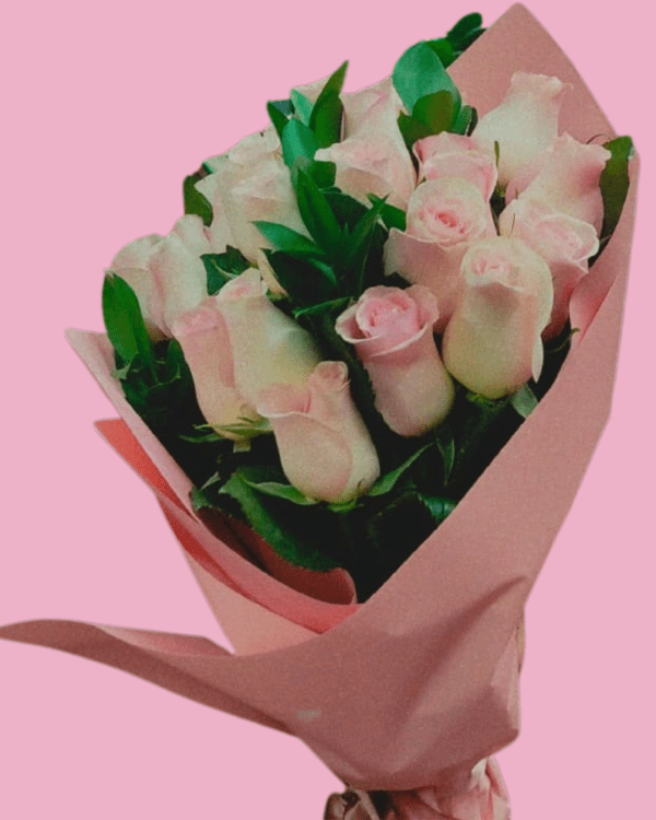 ROSAS ROSADAS 2.3