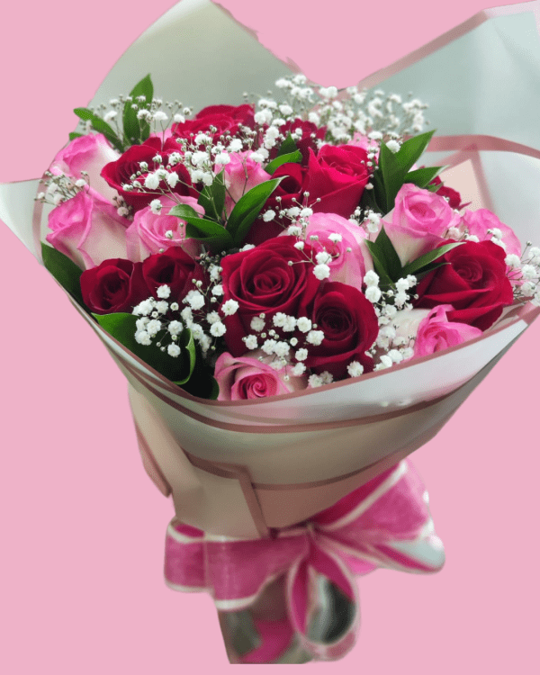 ROSAS Y GISOFILIA
